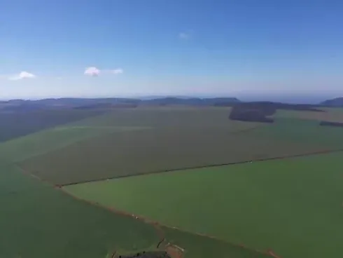 Mega Fazenda de Grãos em São João da Aliança - GO: 16.200 ha | 1.000 ha Irrigados | Altitude 1.200M - Fazenda em Área Rural, São João D'aliança - Foto 4