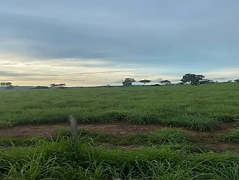 Fazenda em Área Rural, Monte Alegre de Goiás