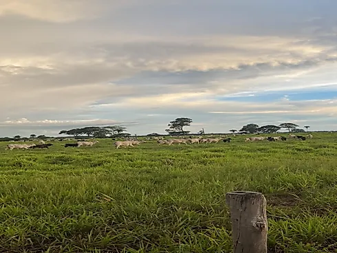 Fazenda em Área Rural, Monte Alegre de Goiás