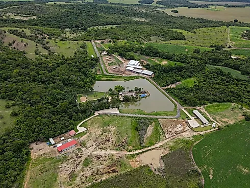 Fazenda de Luxo à Venda em Silvânia-GO - Fazenda em Área Rural, Silvânia - Foto 5