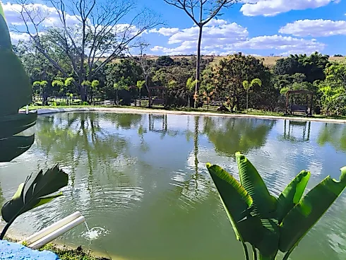 Chácara de Luxo em Anápolis – GO | Infraestrutura Completa e Haras - Foto 8