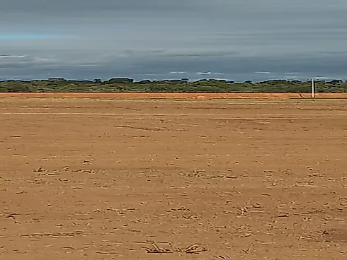 Oportunidade Estratégica no Agronegócio do Norte Goiano
