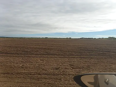 Oportunidade Estratégica no Agronegócio do Norte Goiano - Foto 4