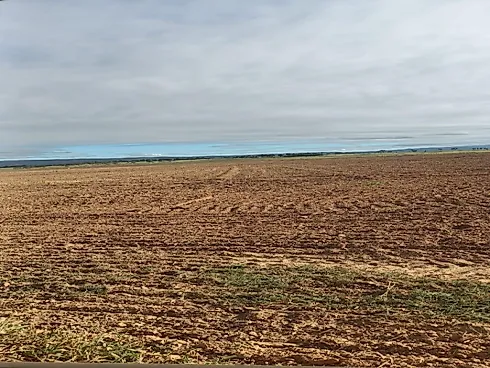 Oportunidade Estratégica no Agronegócio do Norte Goiano - Foto 3
