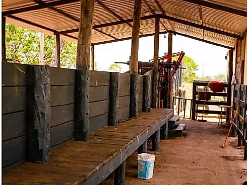 Agrotech & Mineral Investments: Propriedade Multisetorial no Coração do Brasil - Foto 2