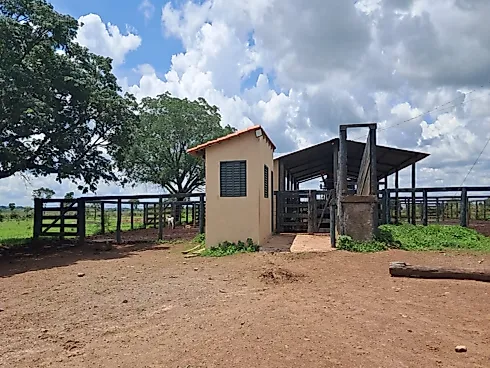 Agrotech & Mineral Investments: Propriedade Multisetorial no Coração do Brasil - Foto 3