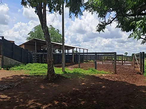 Agrotech & Mineral Investments: Propriedade Multisetorial no Coração do Brasil - Foto 6