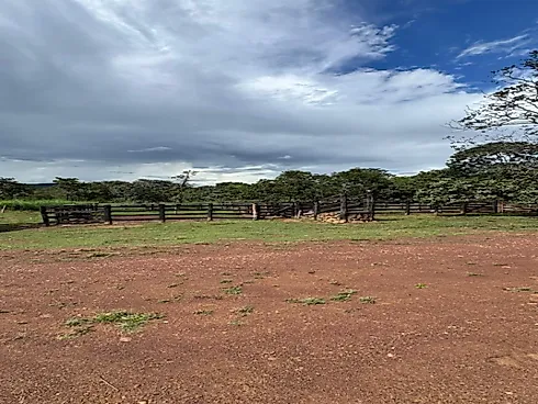 Fazenda para Pecuária em Niquelândia – GO - Foto 5