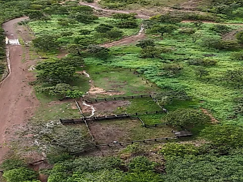 Fazenda para Pecuária em Niquelândia – GO - Foto 4