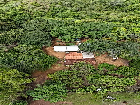 Fazenda para Pecuária em Niquelândia – GO - Foto 11
