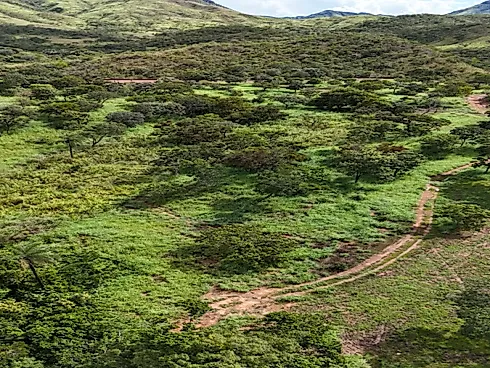 Fazenda para Pecuária em Niquelândia – GO - Foto 10