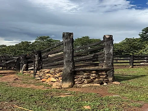 Fazenda para Pecuária em Niquelândia – GO - Foto 7