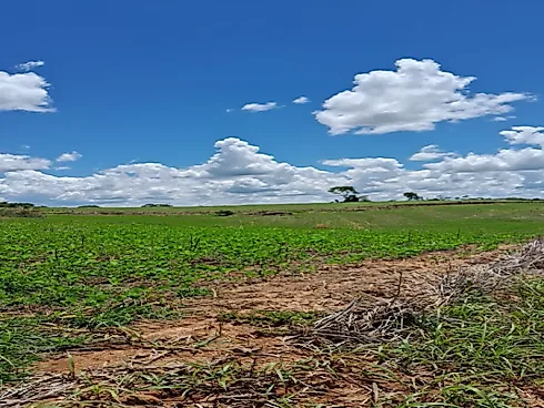 Fazenda em Área Rural de Silvânia, Silvânia