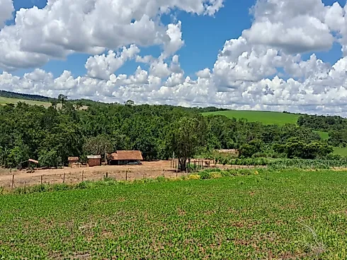 Excelente Fazenda de 7 Alqueires em Silvânia/GO - Foto 10