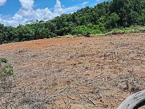 Excelente Fazenda de 7 Alqueires em Silvânia/GO - Foto 11