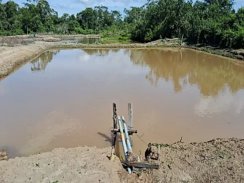 Excelente Fazenda de 7 Alqueires em Silvânia/GO - Foto 12