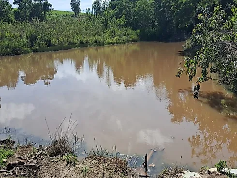 Excelente Fazenda de 7 Alqueires em Silvânia/GO - Foto 13