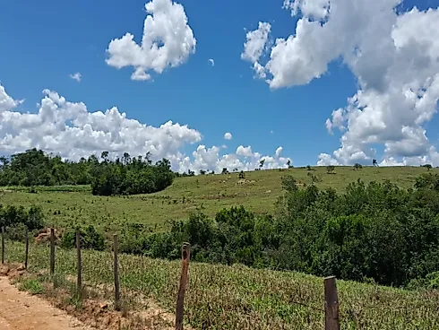 Excelente Fazenda de 7 Alqueires em Silvânia/GO - Foto 15