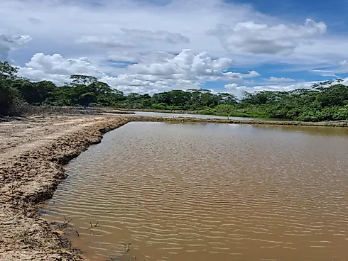 Excelente Fazenda de 7 Alqueires em Silvânia/GO - Foto 16