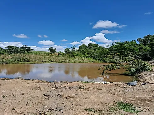 Excelente Fazenda de 7 Alqueires em Silvânia/GO - Foto 17