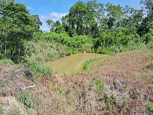 Excelente Fazenda de 7 Alqueires em Silvânia/GO - Foto 18