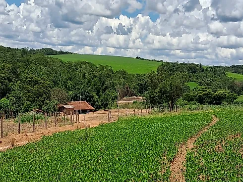 Fazenda em Área Rural de Silvânia, Silvânia