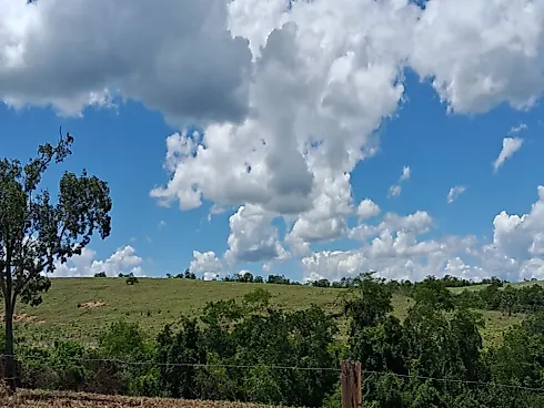 Excelente Fazenda de 7 Alqueires em Silvânia/GO - Foto 6