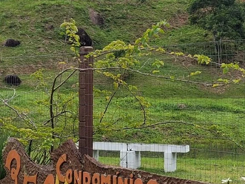 Casa em Amaro da Imperatriz/SC - Casa em Santo Amaro da Imperatriz - Foto 2