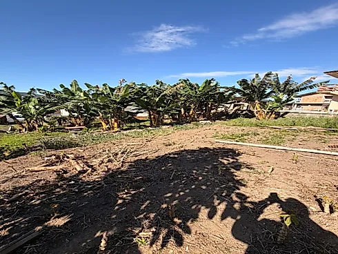 Terreno em São Francisco, Santo Amaro da Imperatriz - Foto 4