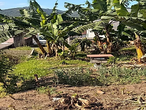 Terreno em São Francisco, Santo Amaro da Imperatriz - Foto 5