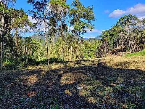 Terreno Centro Santo Amaro - Foto 2