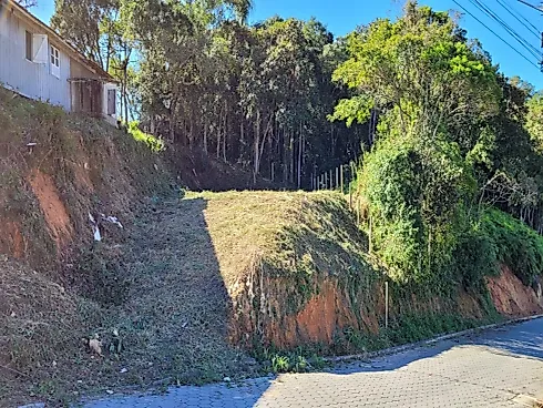 Terreno Centro Santo Amaro - Foto 5
