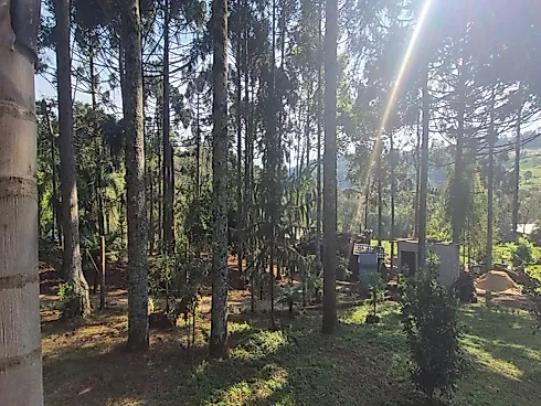Chácara Completa | Porteira Fechada | a 7,2 km do Trevo - Chácara, Vitorino - Foto 2