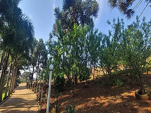 Chácara Completa | Porteira Fechada | a 7,2 km do Trevo - Chácara, Vitorino - Foto 3