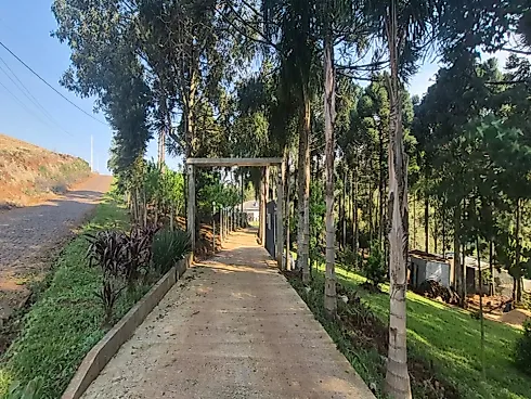 Chácara Completa | Porteira Fechada | a 7,2 km do Trevo - Chácara, Vitorino - Foto 4