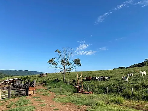 Fazenda em Porto Fanor, Mangueirinha