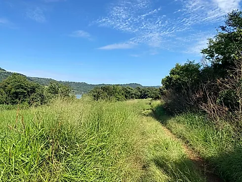 Fazenda 131,5 Alqueires Beira do Alagado de Salto Santiago - Foto 10