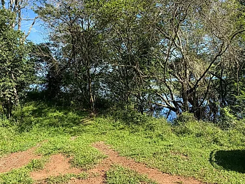 Fazenda 131,5 Alqueires Beira do Alagado de Salto Santiago - Foto 12