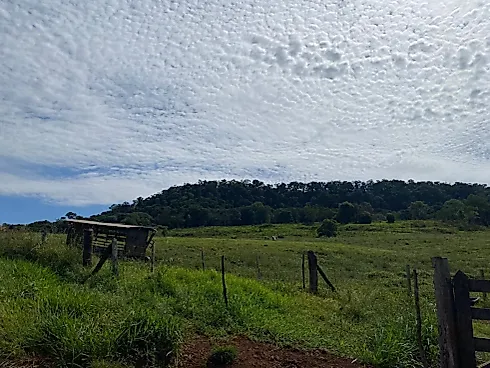 Fazenda 131,5 Alqueires Beira do Alagado de Salto Santiago - Foto 13