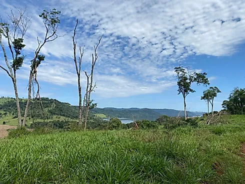 Fazenda 131,5 Alqueires Beira do Alagado de Salto Santiago - Foto 14