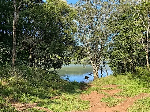 Fazenda 131,5 Alqueires Beira do Alagado de Salto Santiago - Foto 16