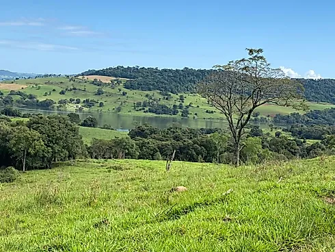 Fazenda 131,5 Alqueires Beira do Alagado de Salto Santiago - Foto 20