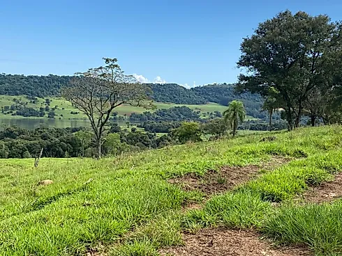 Fazenda 131,5 Alqueires Beira do Alagado de Salto Santiago - Foto 21