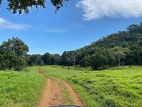 Fazenda 131,5 Alqueires Beira do Alagado de Salto Santiago - Foto 24