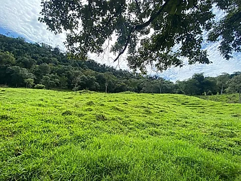Fazenda 131,5 Alqueires Beira do Alagado de Salto Santiago - Foto 25