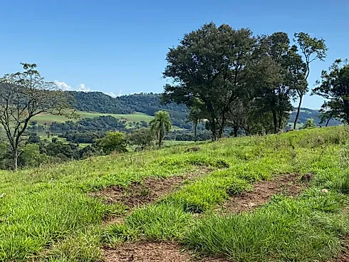 Fazenda 131,5 Alqueires Beira do Alagado de Salto Santiago - Foto 26