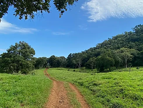 Fazenda 131,5 Alqueires Beira do Alagado de Salto Santiago - Foto 29