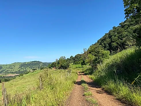 Fazenda em Porto Fanor, Mangueirinha