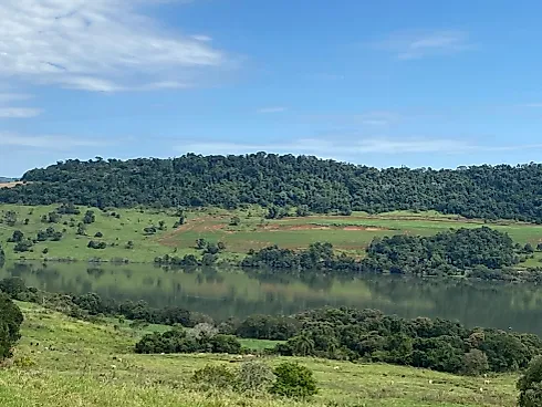Fazenda 131,5 Alqueires Beira do Alagado de Salto Santiago - Foto 30