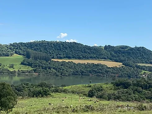 Fazenda 131,5 Alqueires Beira do Alagado de Salto Santiago - Foto 32